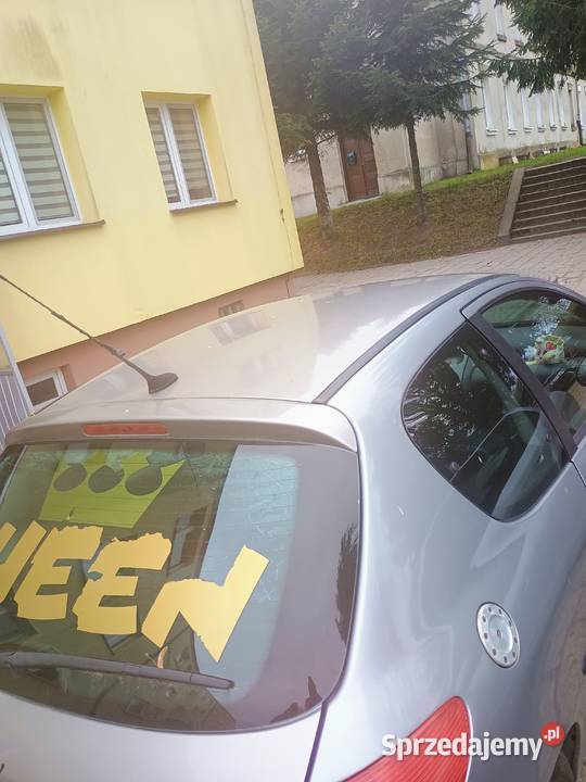 Peugeot 206xs 16 benzyna 1600cm3 lubelskie Nieledew