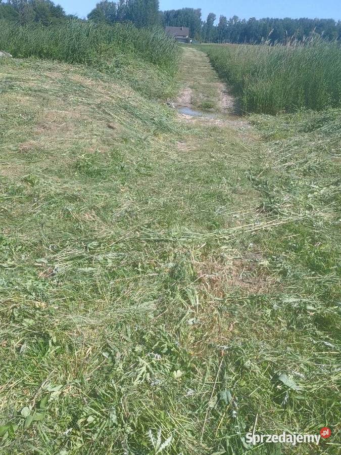 działka rekreacyjna Pińczów sprzedam