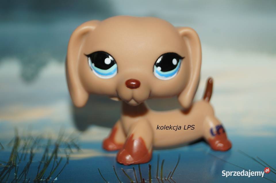 LPS Littlest Pet Shop jamnik 1211 oryginalny pop Rybnik