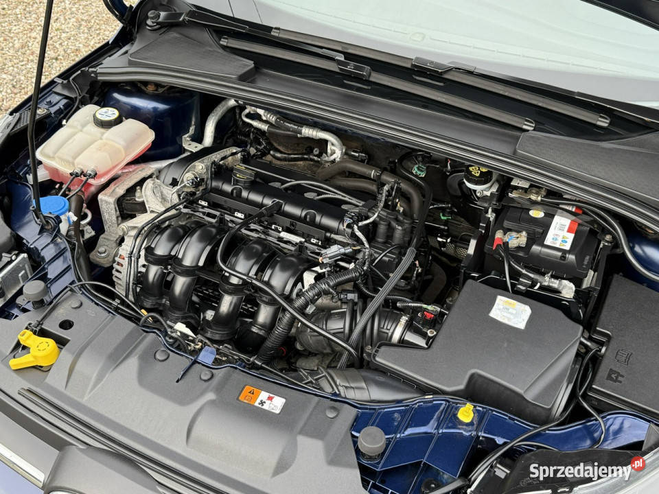 Ford Focus zwykły silnikbixenonysuper stanz