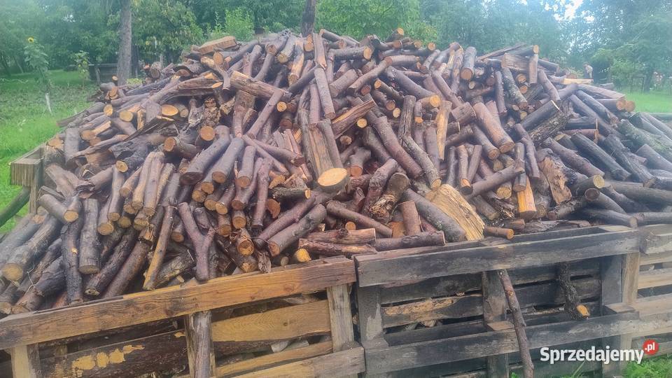 Gałęziówka sucha liściasta dowóz Przemyśl sprzedam