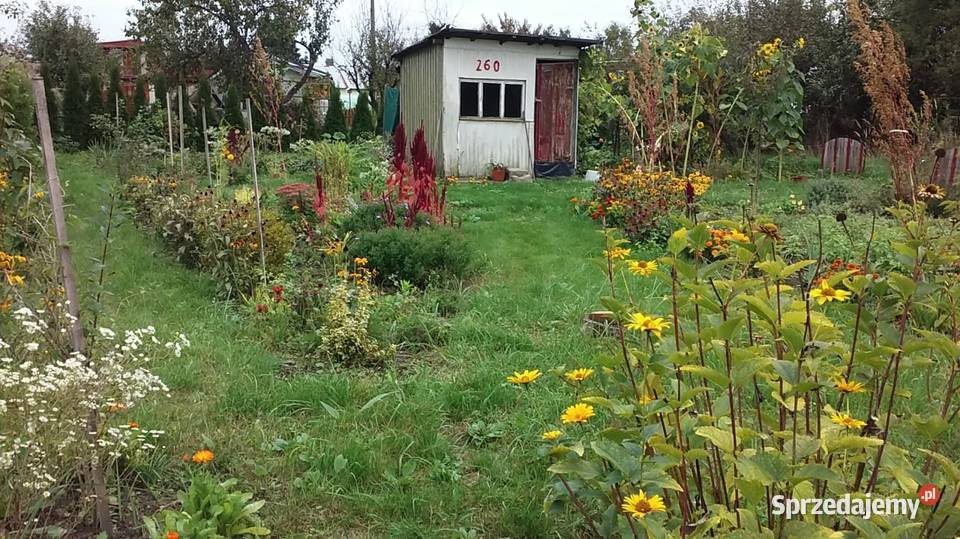 Ładny ogródek działkowy Strzelce Opolskie