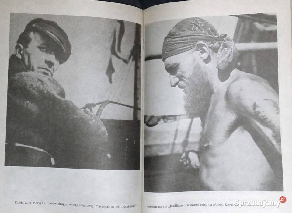 Dziękuję ci kapitanie Arkady Fiedler Rok wydania 1984 Chełm