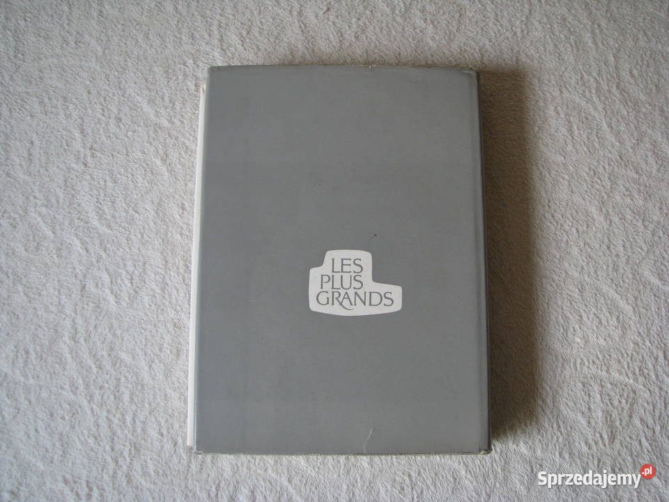 Van Gogh Pierre Cabanne publikacja w języku Książki naukowe i popularnonaukowe Kultura i Rozrywka małopolskie Brzegi