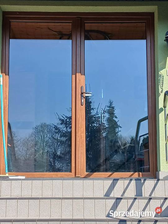 Drzwi wejściowe dwuskrzydłowe Woźnawieś