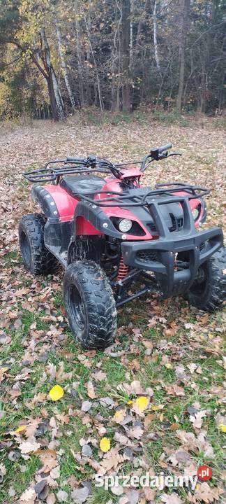 Quad hummer 150 31 pół automat Trzciana