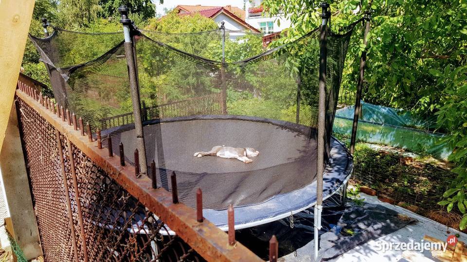 Trampolina sportowa ogromna Zielona Góra