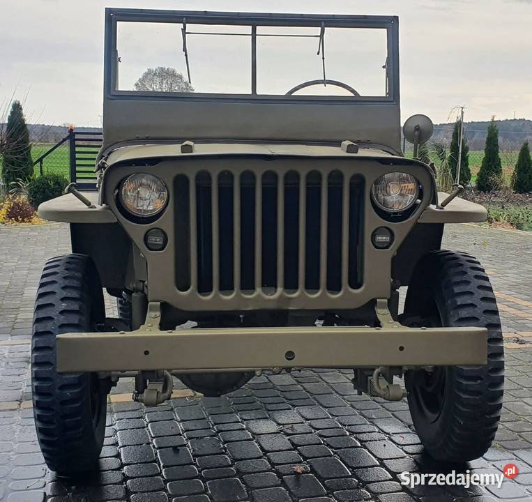 JEEP WILLYS CJ3A NAVY ZAREJESTROWANY na ZABYTEK Willys Leśno sprzedam
