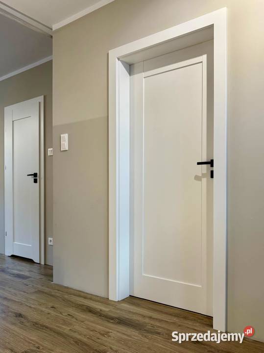 DRZWI z MONTAŻEM OŚ REGULOWANE Szeroki Wybór świętokrzyskie