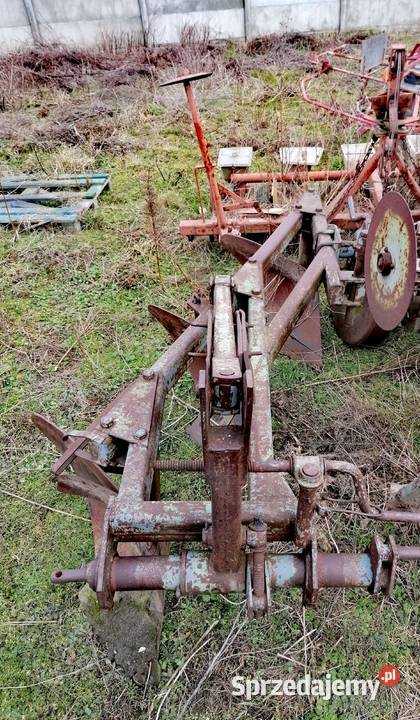 Pług 3 skibowy zagonowy kujawsko-pomorskie Żnin