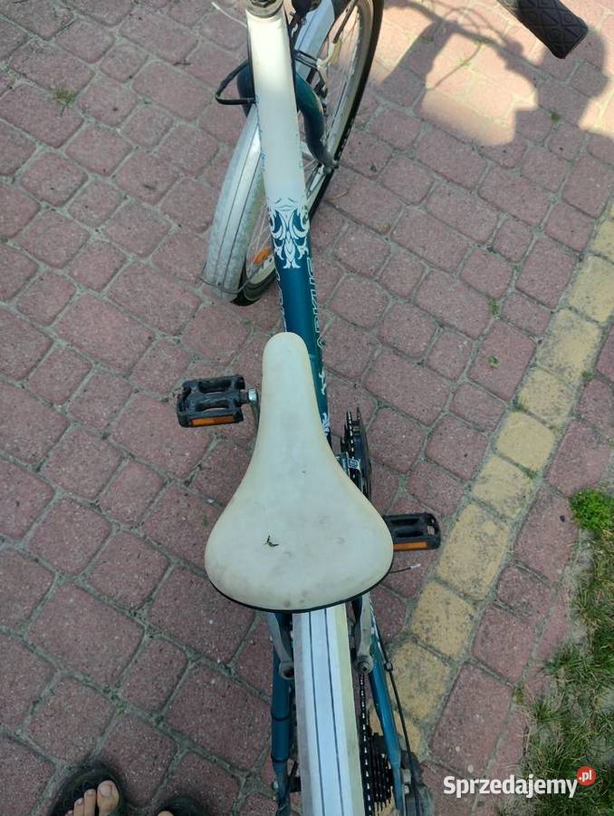 Rower dziecięcy Arkus Panda City koła 24 cale Warszawa