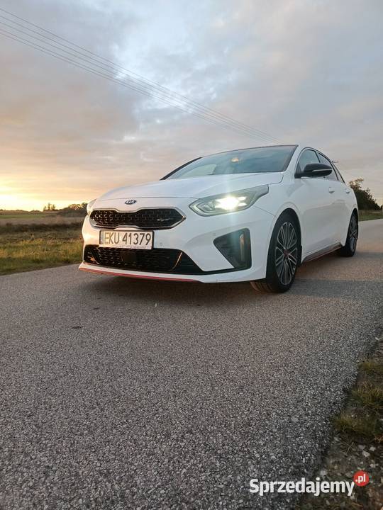 Kia Proceed GT 16 TGDI 204 nowy silnik Full 204KM
