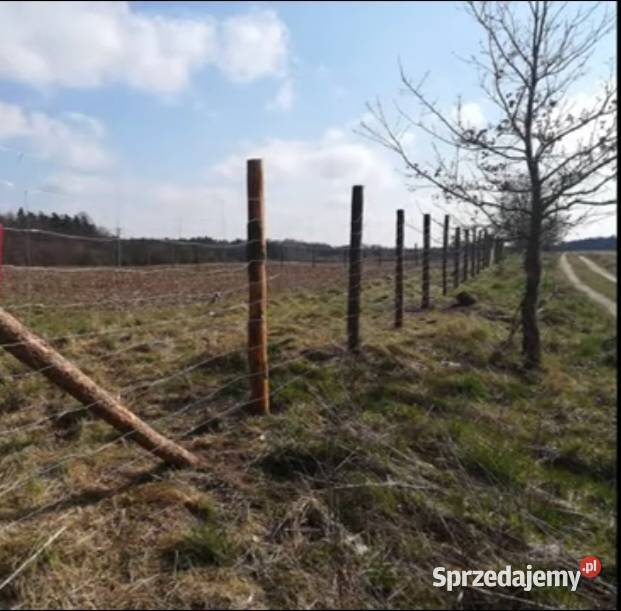 SIATKA ogrodzeniowa LEŚNA 1801360 L rolka 50 m ocynk Siatki i panele Częstochowa