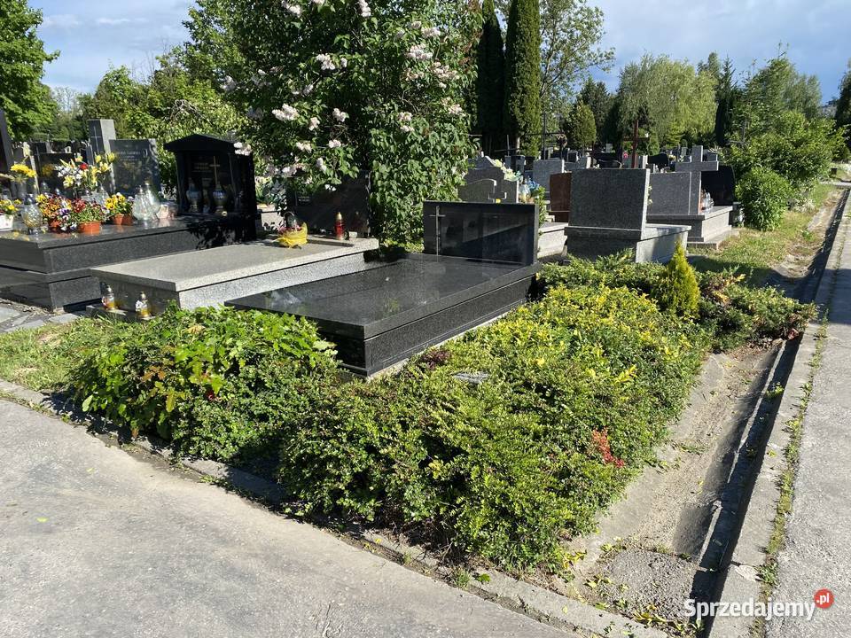 Grobowiec na cmentarzu Batowice Prądnik Czerwony Kraków