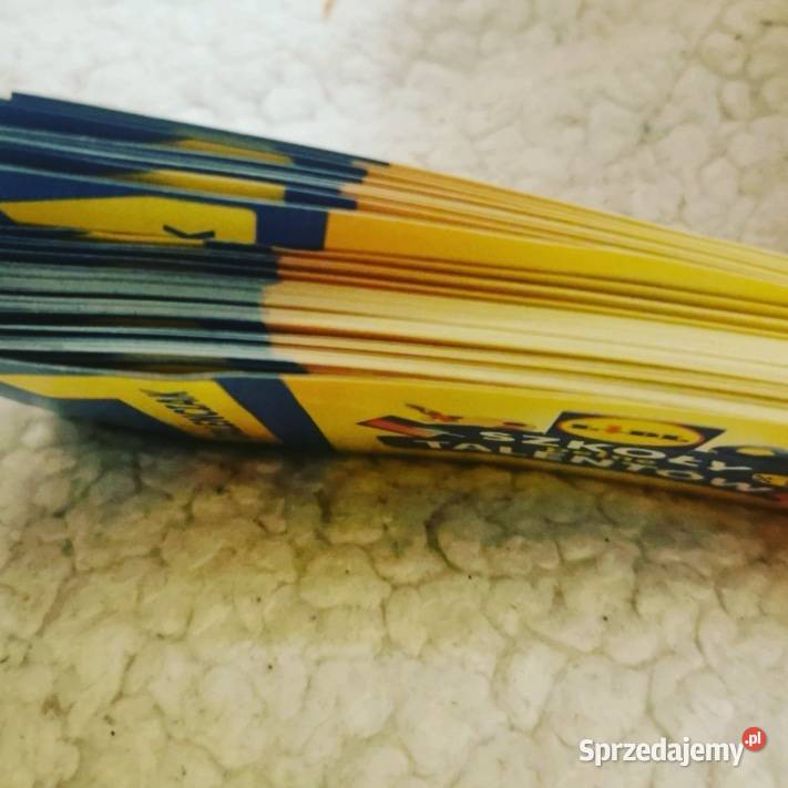 Talenciaki Szkoła Pełna Talentów Lidl Pozostałe