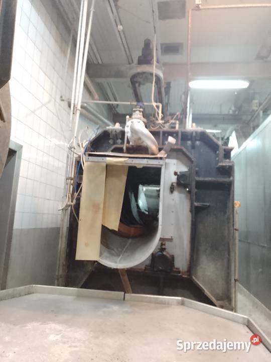 LINIA UBOJU TRZODY CHLEWNEJ świętokrzyskie Micigózd