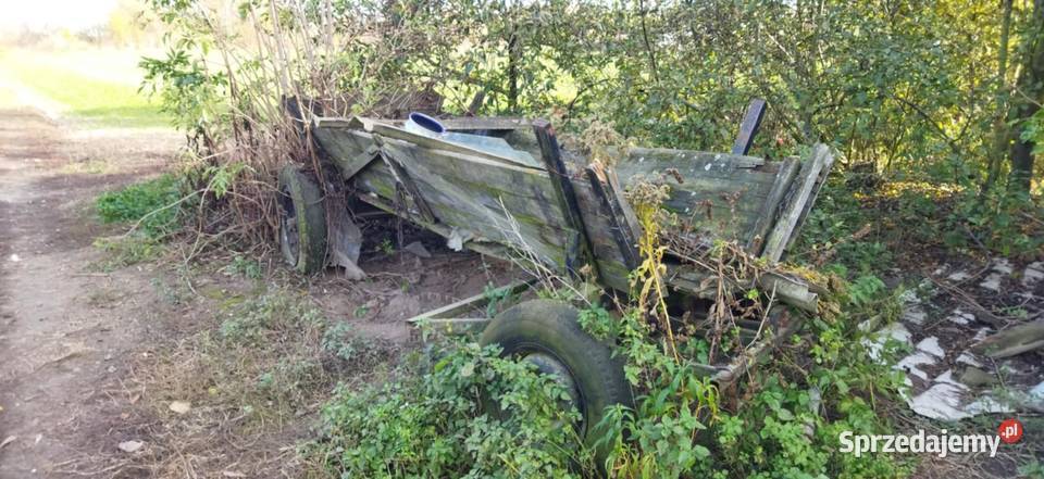 Wozy konne mazowieckie Płock