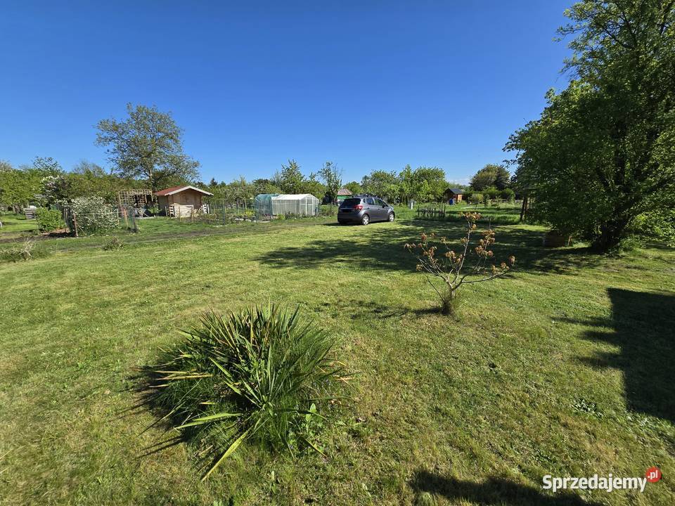 Ogródek działkowy ROD Energetyk Brochów 57zł/m2 sprzedam