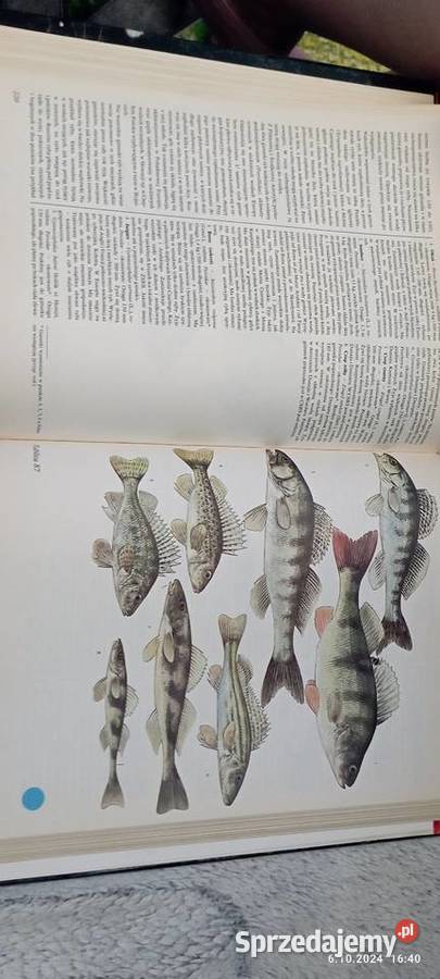 Świat Zwierząt Częstochowa