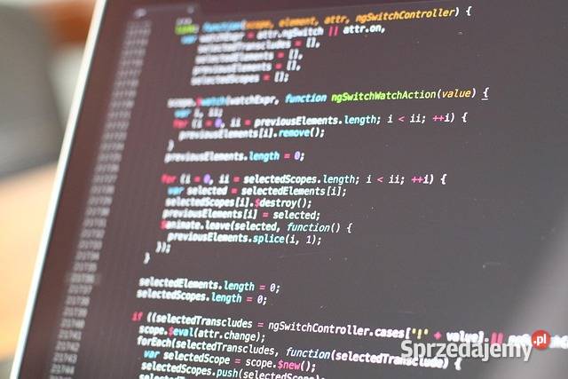 Nowoczesne strony www i sklepy Poznań informatyka