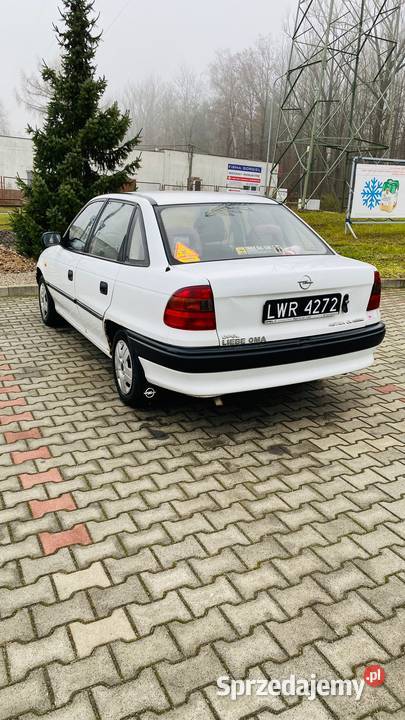 Babunia spadkobierców manualna Astra Skarżysko-Kamienna