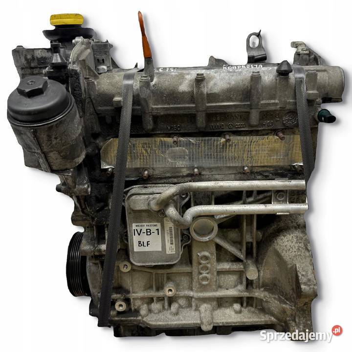 SILNIK BLF VW Touran Golf V Eos Jetta III 16 FSI Silniki kompletne Chełm