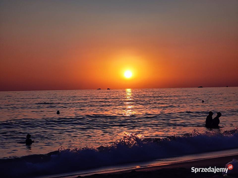 Smartfon OnePlus 10 Pro 12256GB Snapdragon 8 Haczów