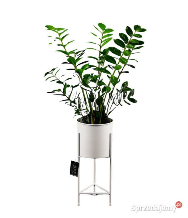 Kwietnik Metalowy Stojak na kwiaty z donicą 50 Dekoracje i ozdoby Sobienie-Jeziory