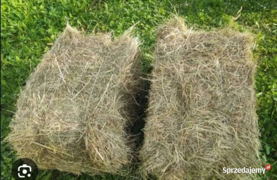 Sprzedam siano Trawy, słoma Kotarwice