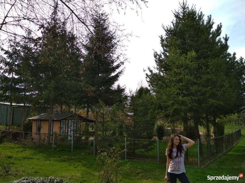 Działka pracownicza ogródek działkowy 330m2 lubelskie Lublin