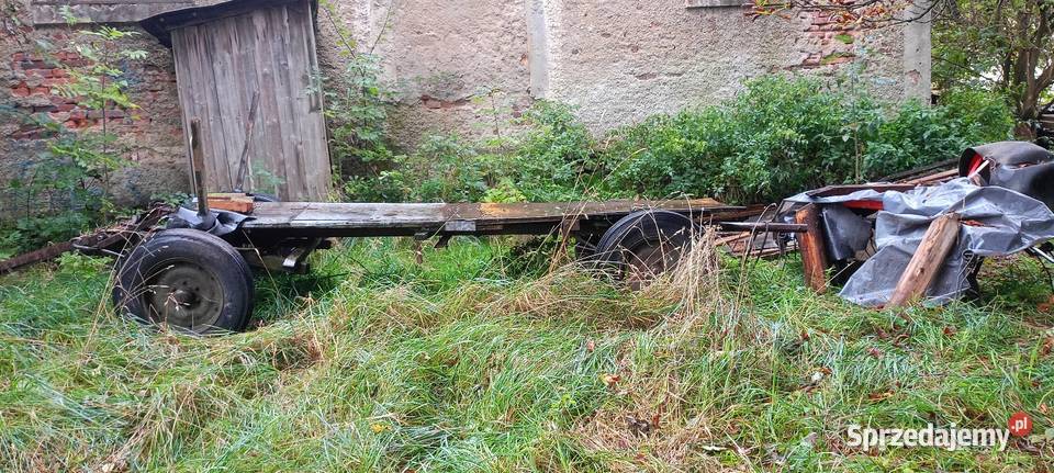 Wozy konne i przyczepka Jelenia Góra