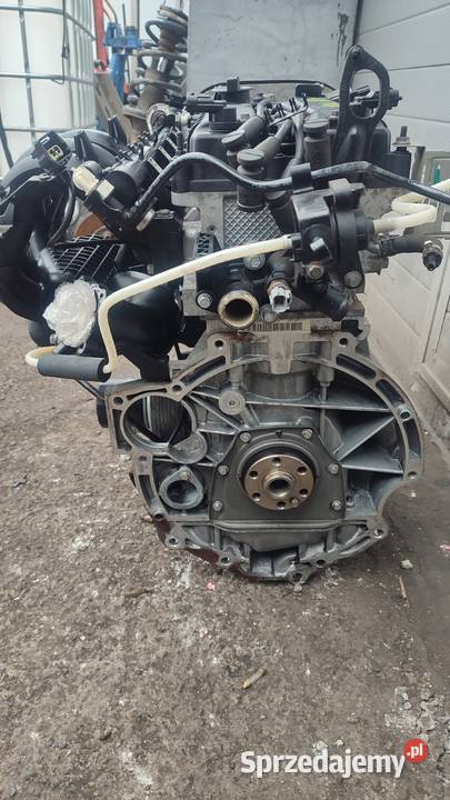 SILNIK PNDA FORD FOCUS MK3 C II 16 16V Ti 125 osobowe Włoszczowa sprzedam