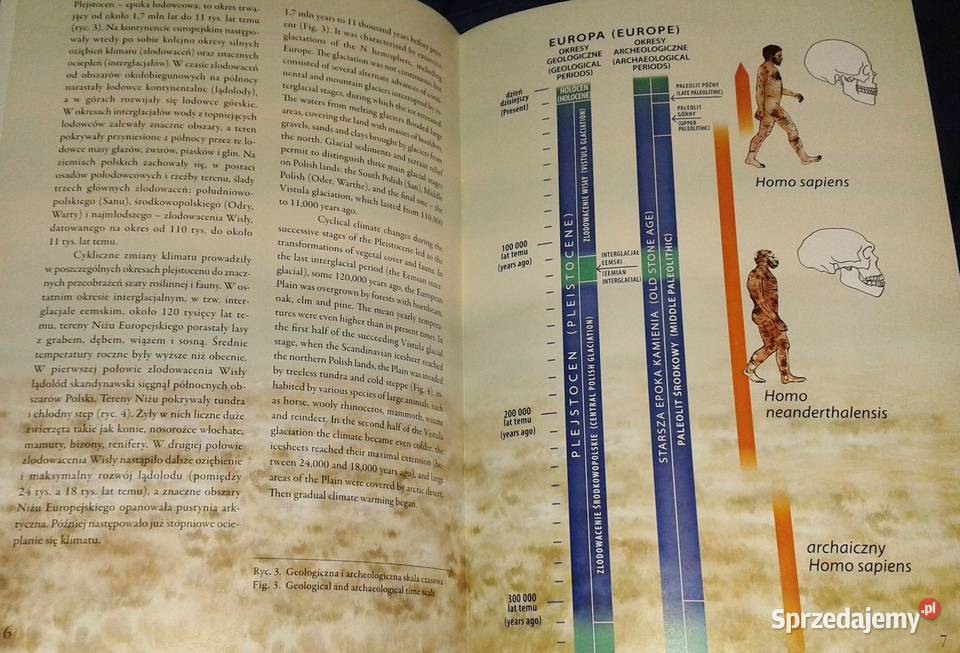 Zwoleńscy łowcy z epoki kamienia Elżbieta Chełm