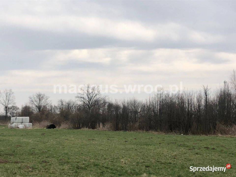 Na sprzedaż piękna działka rolna w dolnośląskie Świdnica