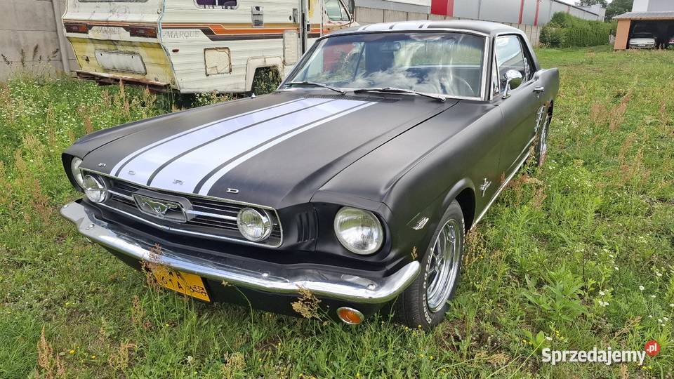 Mustang GT 289 z 1966 roku pełna renowacja 10000km Milejowice sprzedam