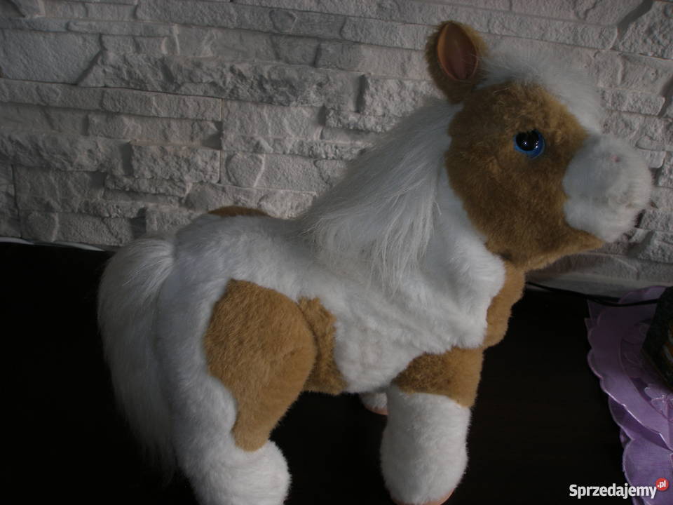 Interaktywny źrebaczek OKAZJA Suwałki