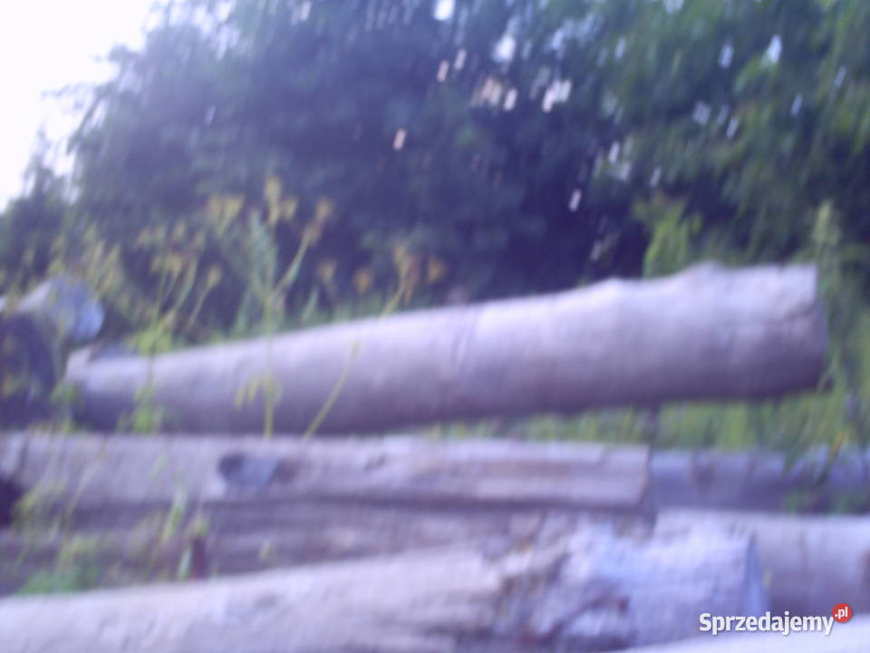 Drewno dekoracyjne stare pale sosna dąb Krasnystaw