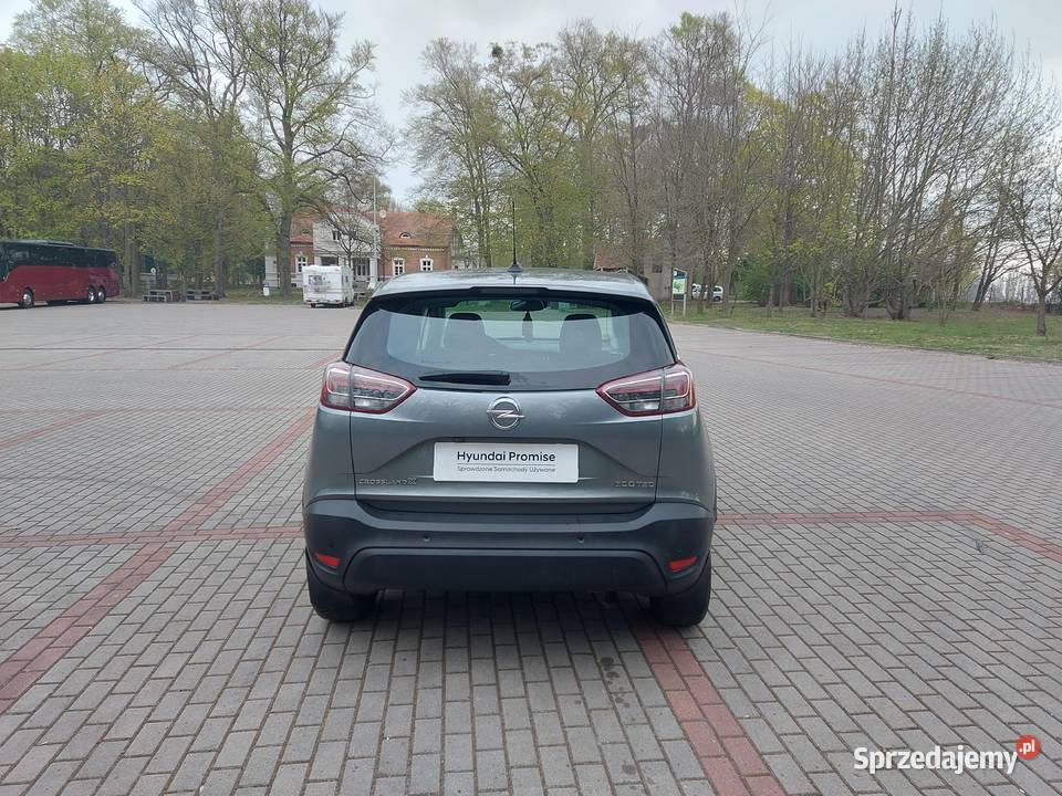 Opel 2017 Gołuchów