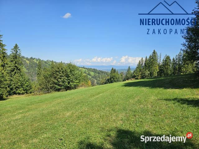 sprzedaży działki 5460m2 Suche