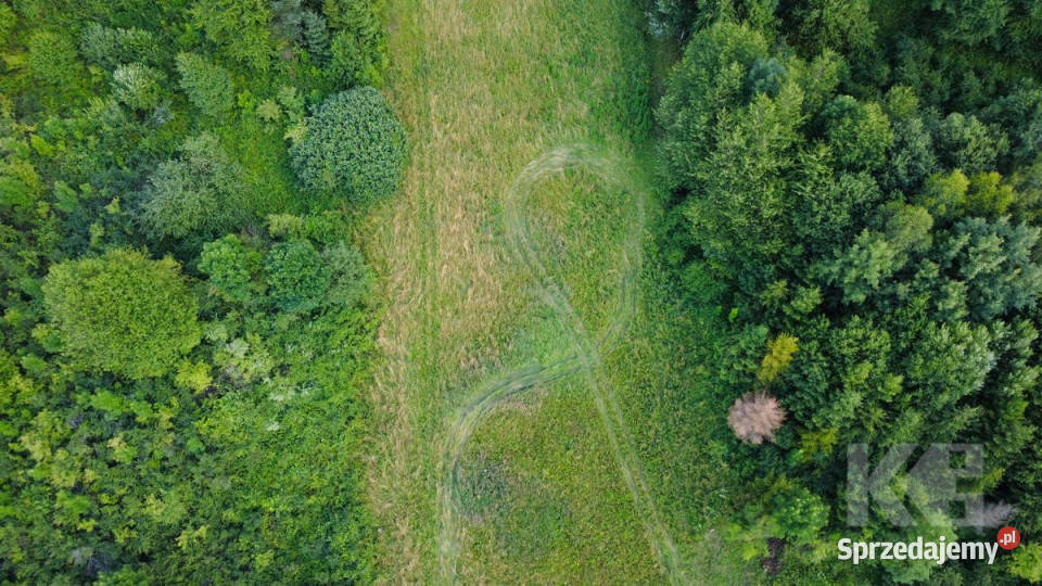 Działka Czaszyn 11684m2 Sprzedaż sprzedam