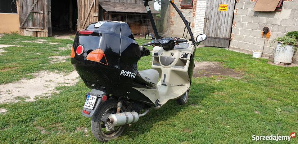 Kingway Poster Cienia sprzedam