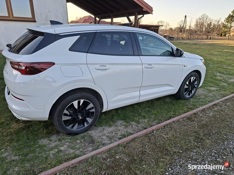 Opel Grandland x Tarnów