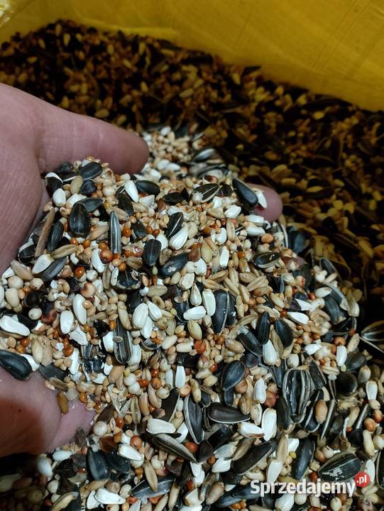 Karma papug kanarków gryzoni opolskie