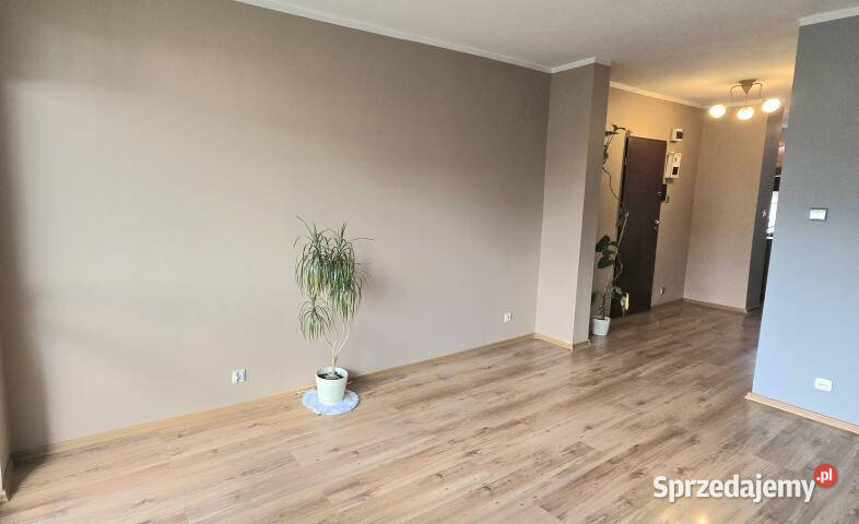 sprzedaży mieszkania Włocławek 40m2 2 pokoje