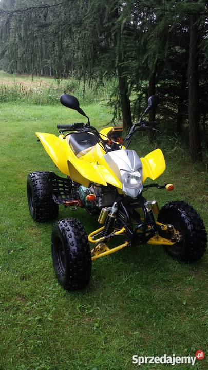 Bashan 200 Bashan Nowy Żmigród