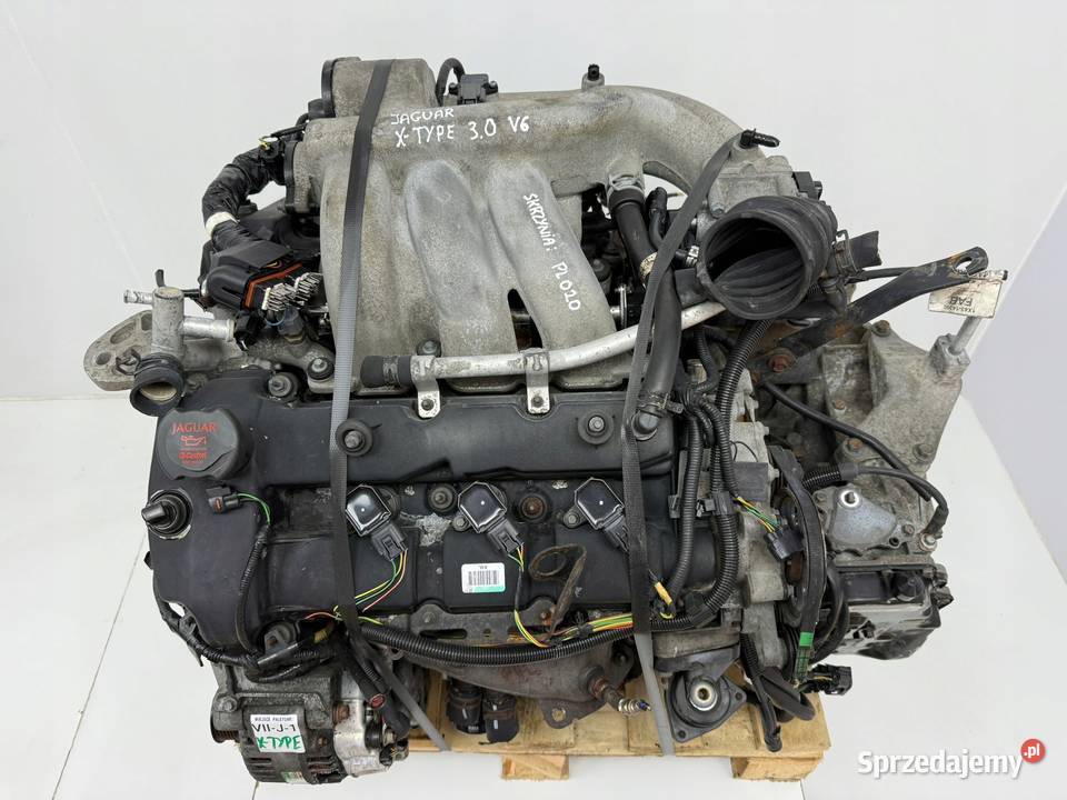 SILNIK WB AJV6 Jaguar X Type XType 30 V6 230 Chełm