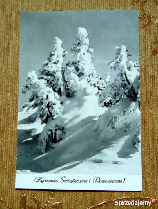 WIDOK ZIMOWY FOT OSUCHOWSKI lubelskie Piszczac