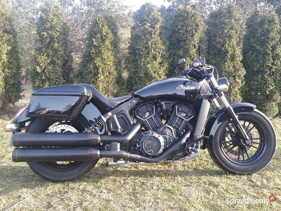 Indian scout sixti classic
