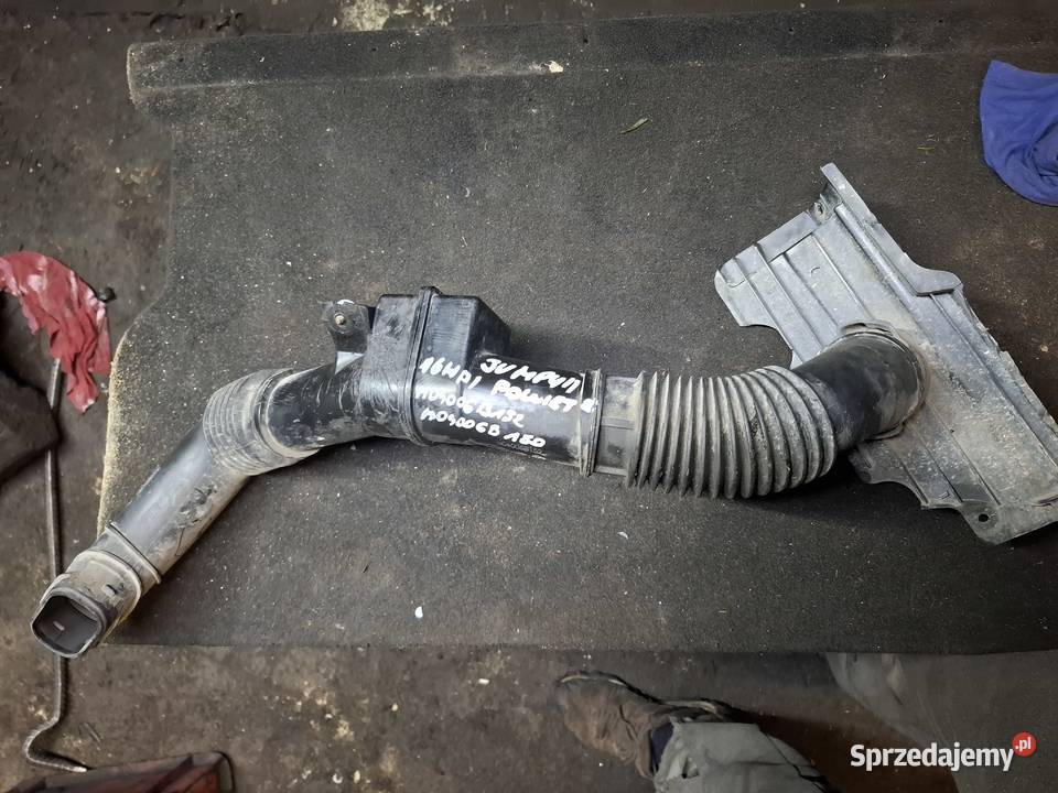 CITROEN JUMPY II 16 HDI dolot rura powietrza świętokrzyskie Kielce