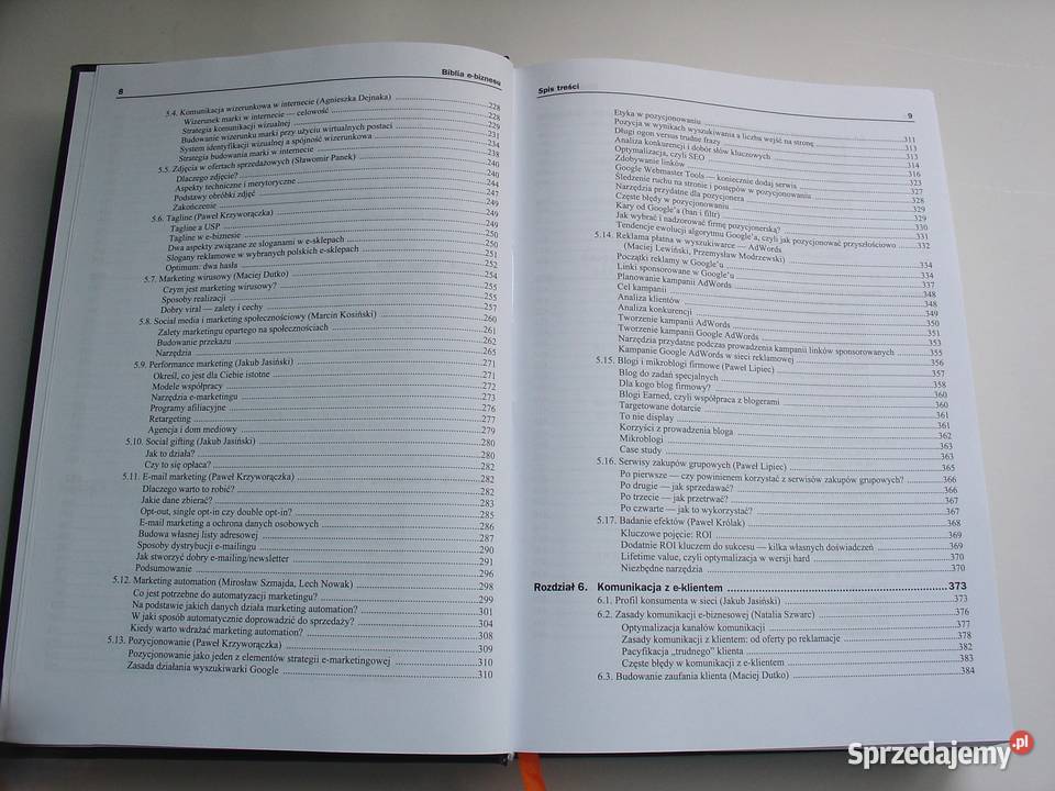 Biblia ebiznesu Praca zbiorowa Łódź
